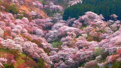 4月のスケジュール 4月のスケジュール
