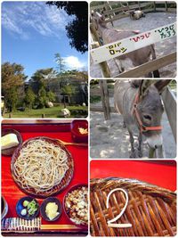 そば占い！凡太！ 2015/10/09 22:04:48
