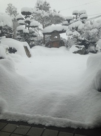 積雪３０cm以上！ここは南国鹿児島～ 2016/01/24 21:27:59