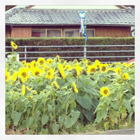 2012年12月23日